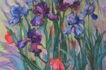 Spring Beauties (Iris)