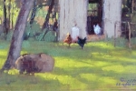 Chicken Coop