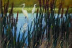 Herons