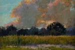 Approaching Storm