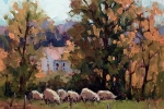 Flock of Sheep