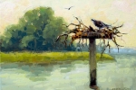 Osprey