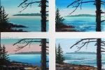 "Tide Study" by Fred Danziger