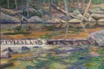 "French Creek at S tPeters Village" by Fred Danziger