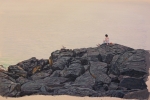 "Monhegan" by Fred Danziger