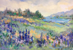 Lupines-2018-given-Andy-72-dpi-c-web-thumbnail