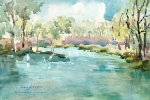 AAE - Lotus Pond-Egrets