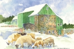 AAR - Anne's Sheep