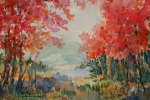 AAI - Sugar Maple Hill