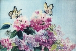 Butterflies 'n Blooms