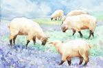 Sheep Out to Lunch by Mimi Barclay Johnson