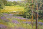 10 Meadow
