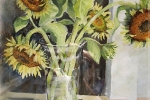 12 Sunflowers