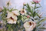 05 Peonies