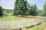 11 Lavender Farm