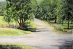 07 Farm Road
