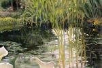 04 Marsh